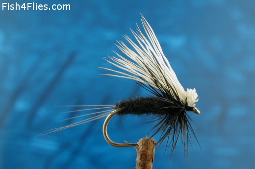 trico dun fly pattern
